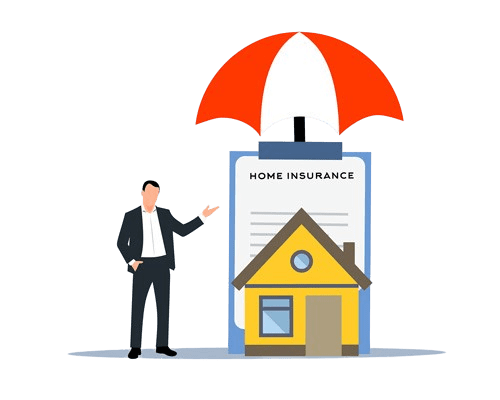 Asset Management